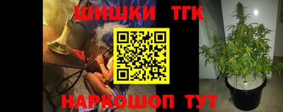 тгк Будённовск