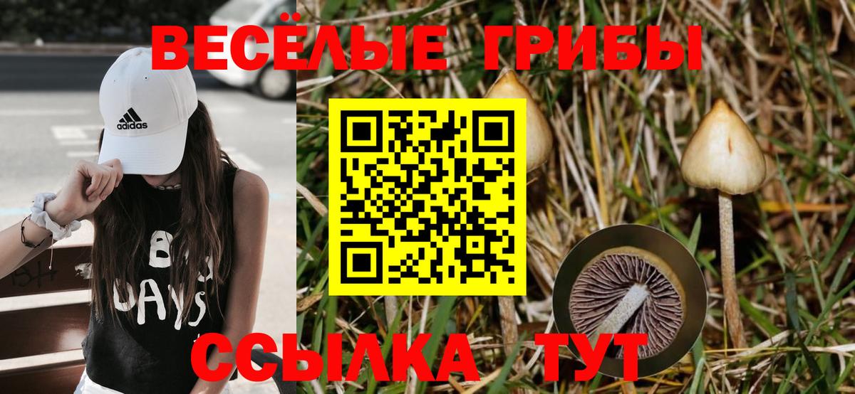 Псилоцибиновые грибы мицелий  Вход с VPN  Галлюциногенные грибы MAGIC MUSHROOMS  где найти наркотики  Карасук 